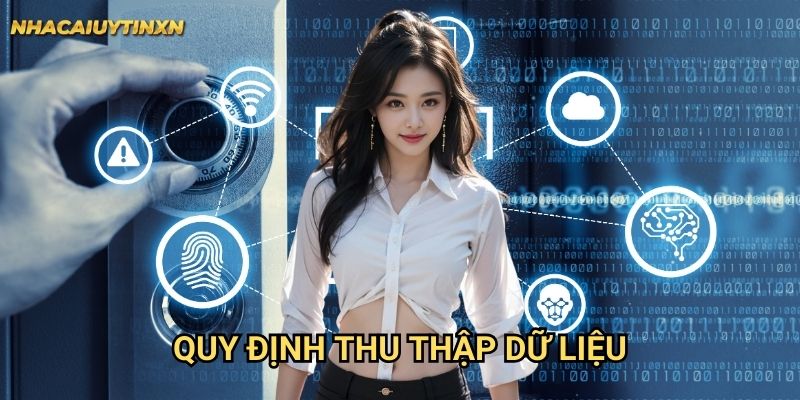 Quy Định Thu Thập Dữ Liệu